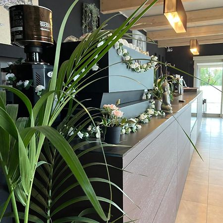 Bed & Breakfast La Rondinella Cerasolo Ngoại thất bức ảnh