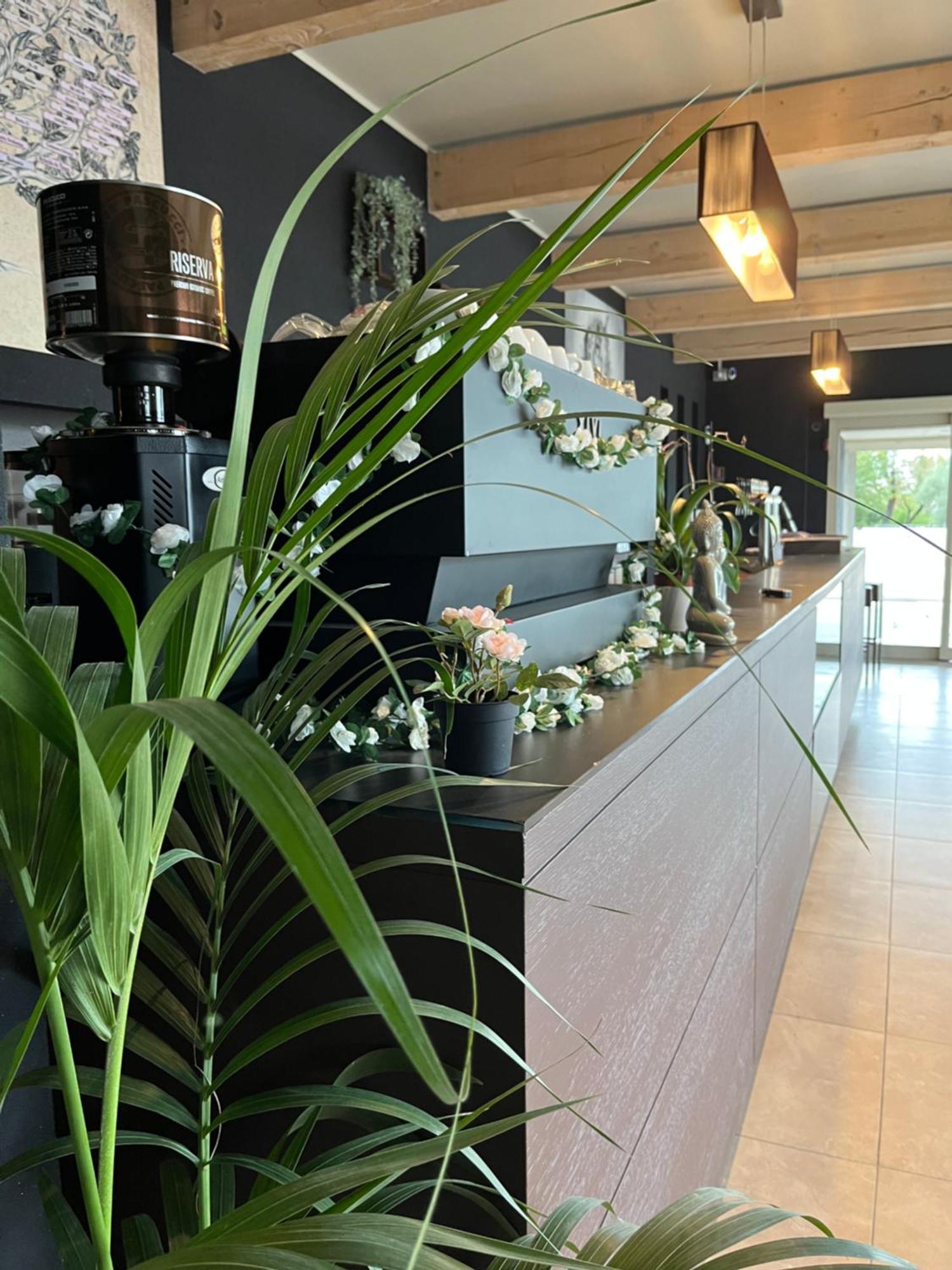 Bed & Breakfast La Rondinella Cerasolo Ngoại thất bức ảnh