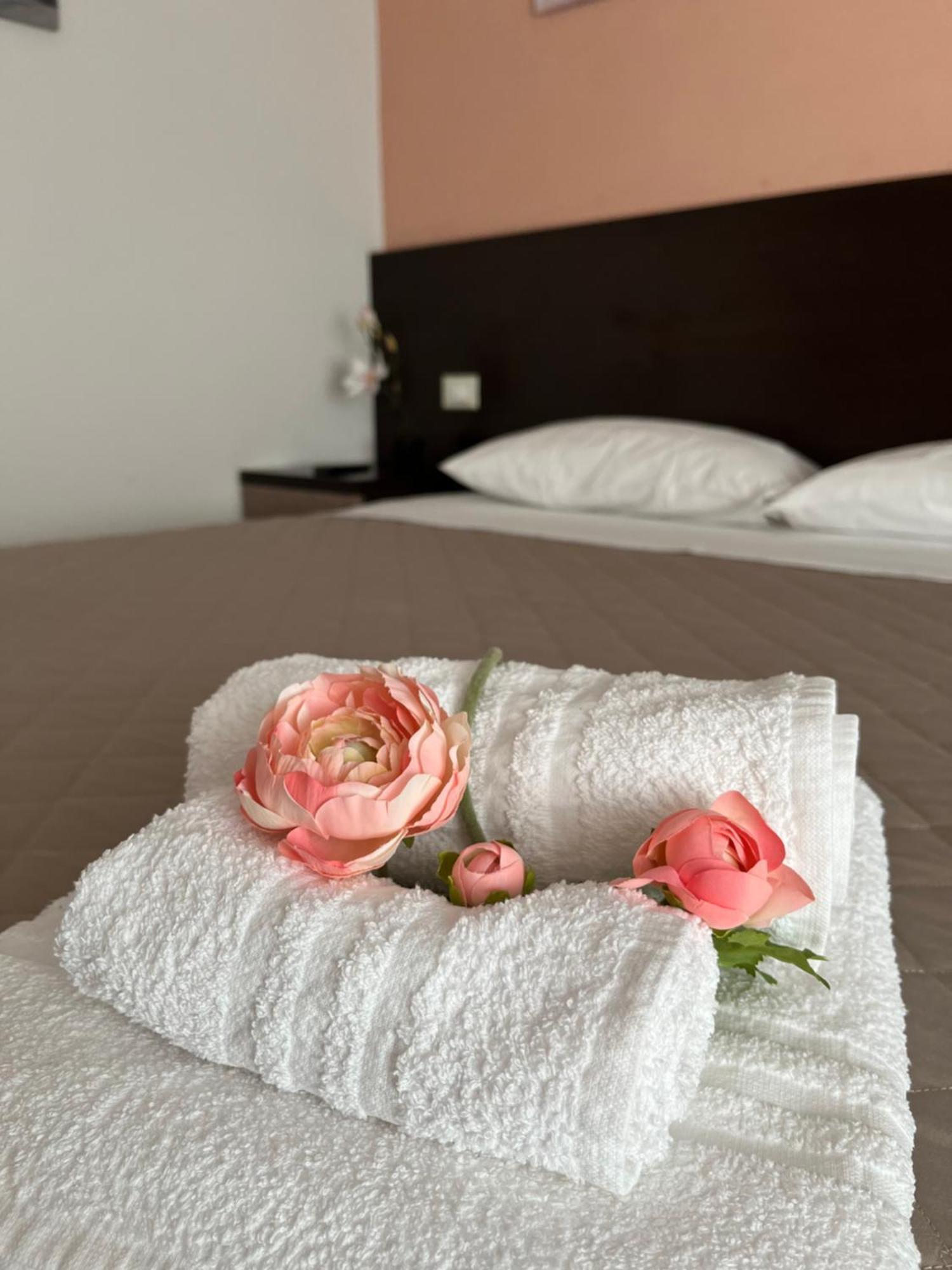 Bed & Breakfast La Rondinella Cerasolo Ngoại thất bức ảnh